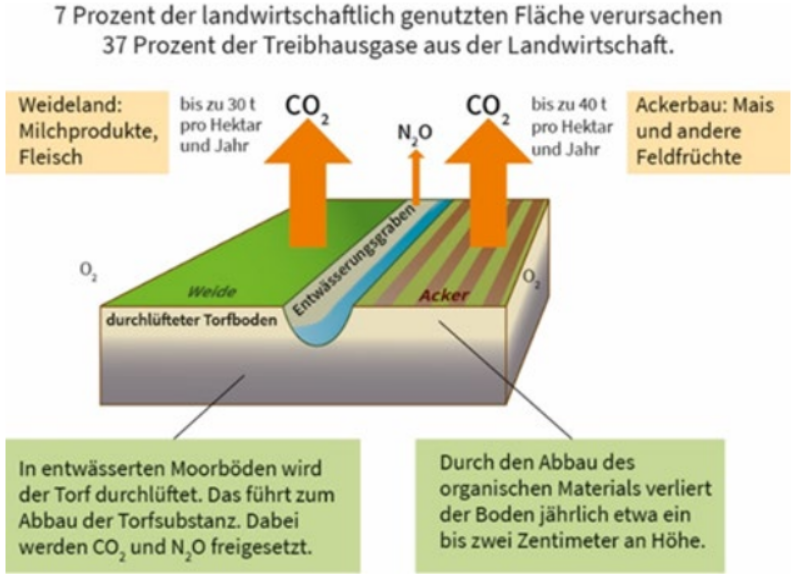 Schematische Darstellung entwässerter Moorböden mit Weide und Acker, Entwässerungsgraben und aufsteigenden CO₂- und N₂O-Emissionen.